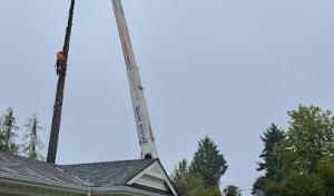 Powell Septic Tank Service