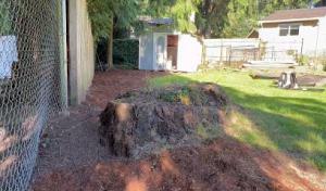 Ray's Septic