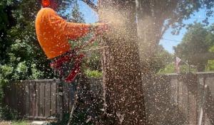 Dos Bros Tree Service