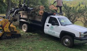 Nwa Brothers Tree Service