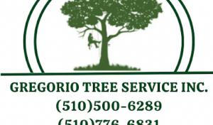 Above Grade Septic