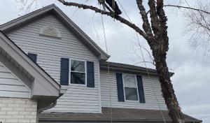 Michael's Tree Service