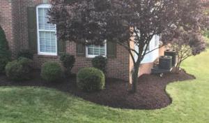 Kingston Septic Tank Services