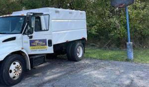 Tree Crew - Tree Experts