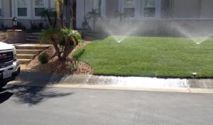 A Sandoval Tree Service