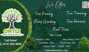 Ortiz Tree Services