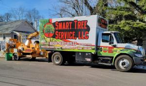 Smart Tree Service