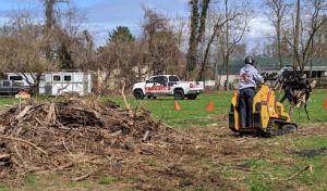 Enright's Tree & Concrete Service