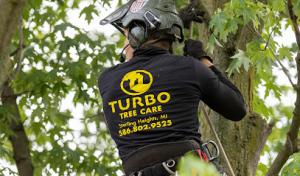 Turbo Tree Care