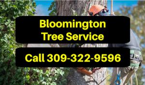 Bloomington Tree Service