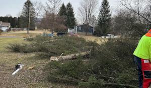 Maloney’s Lawn & Landscape