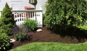 Robinson Septic & Sewage