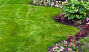 A & C Septic Services