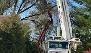 Reasonable Tree Experts