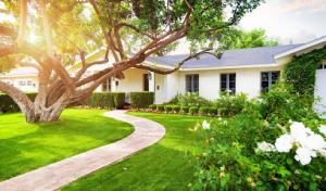 Robichaux's Tree Service & Removal