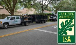 Southern Environmental Group