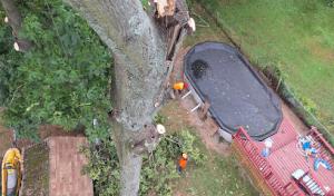 Apalachee Backhoe & Septic Tank