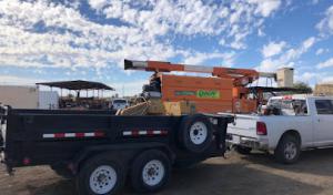 Chavez Tree Services