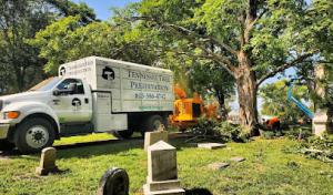Reliable Septic Service
