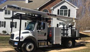 Madd Beaver Tree Experts & Stump Grinding Service