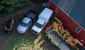 Donegan's Tree Service