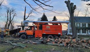 Energy property maintenance & tree service