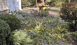 Earth Movers Excavation