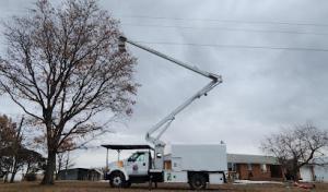 Riverdale Tree Services