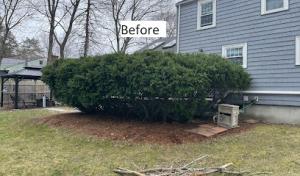 Premier Septic Services