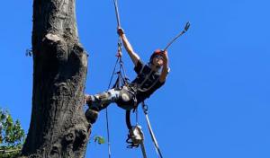 Fearless Tree Service