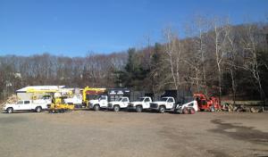 Lachance Tree Services