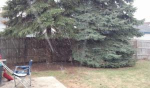 A Notch Above the Rest