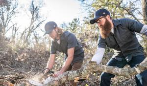 Blue Ox Urban Forestry