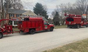 JL Tree Care Services