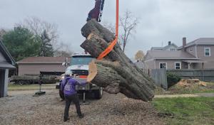 Sam’s The Man Tree Service