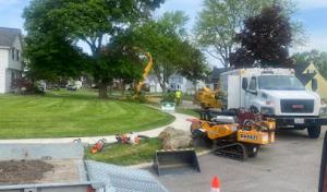 Buffalo Tree Service