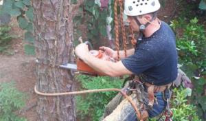 Sharper Edge Tree Care