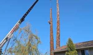 Cascadia Tree Service