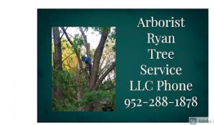 Arborist Ryan Tree Service
