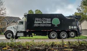 Pro-Tree Outdoor Services