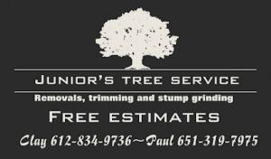 Juniors tree service