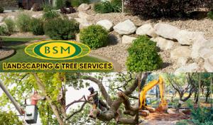BSM Landscaping & Tree Service