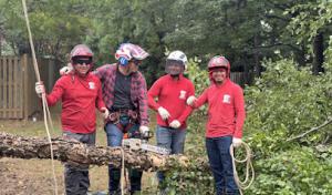 Grant Brothers Tree Service