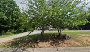 Mountain Man Tree Service Canton