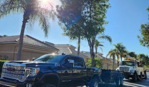 A Force of Nature Tree Service