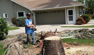 James's & Nikki's Tree Service