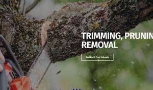 FreeFlow Environmental Septic Service