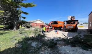 Tree Of Life Tree Service & Landscaping