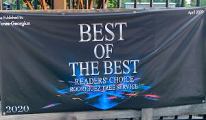 Rodriguez Tree Services