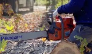 S Green Tree Services